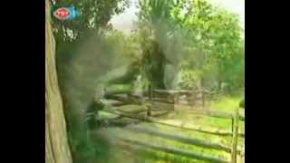 Barış Manço Zalim Sultan Video Klip