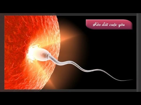 Bí quyết kéo dài cuộc yêu và những thực phẩm giúp kéo dài suốt cuộc yêu