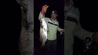 Barramundi, Kanay, Jitada Fishing