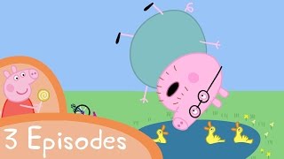 Peppa Pig - Daddy Pig 3 Episodes
