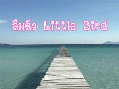 ลืมตัว - Little Bird thumb