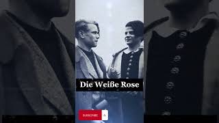Die Weiße Rose: Licht der Hoffnung im Dunkel des Nazi-Regimes  #rose #white #sho