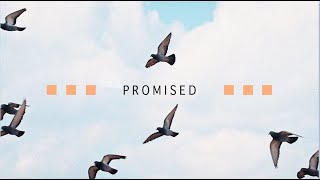Promised - Old Covenant vs. New Covenant - Part 3