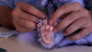 Fantasy Creature DIY and crafts. 18 hours in 3 minutes