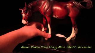 Breyer Collection Tour
