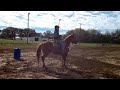 Brent Bennett performance horses... Training horses... Box work ...