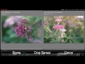 f1.4