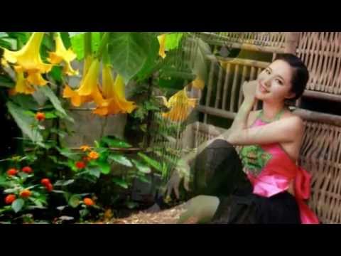 Bèo dạt mây trôi - Một bài hát ru (Anh Khang & Quang Thắng)