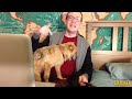 New Guy & Cute Dog React to the Puppy Bowl - New Guy Weekly