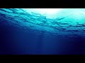 Positive Energy Flow | Meditation & Relax Music | Beautiful Underwater Flow