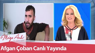 Serbest Kalan Afgan Çoban Canlı Yayında- Müge Anlı Ile Tatlı Sert 25 Ekim 2021