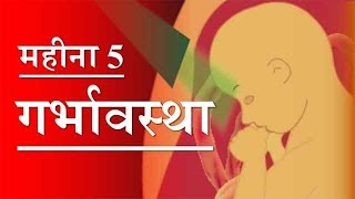 महीना 5 | गर्भावस्था | हिंदी | Pregnancy | Month by Month | Month 5 | Hindi महीना 5 | गर्भावस्था | हिंदी | Pregnancy | Month by Month | Month 5 | Hindi