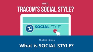 What is SOCIAL STYLE?
