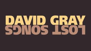 Watch David Gray As Im Leaving video
