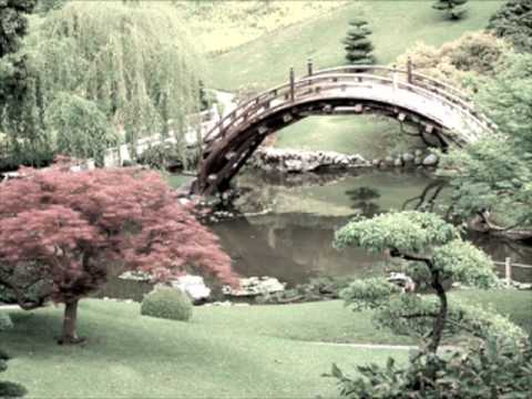 Mike Slott - Gardening