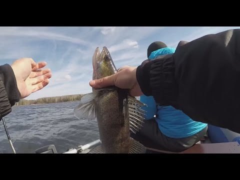 рыбалка видео 2016 весна свежие серии на щуку рыбалка видео 2016 весна свежие серии на щуку