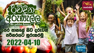 Rividina Arunella -  2022-04-10 | Agriculture Programme