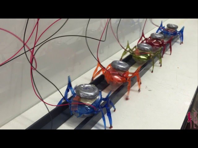 Microrobots Pull A Car - Video