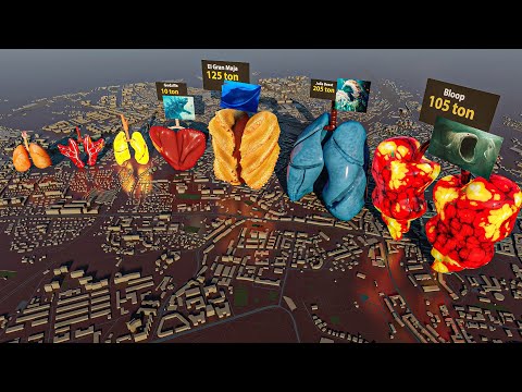 Monster Lungs size comparisom👹