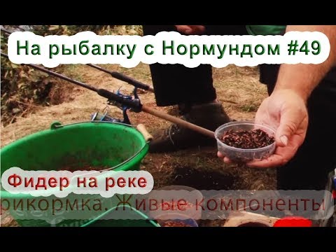 Лещевая прикормка для фидера Лещевая прикормка для фидера