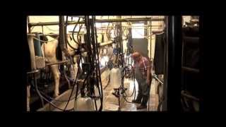 Mt. Crawford Creamery