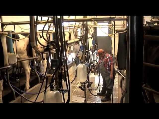 Mt. Crawford Creamery