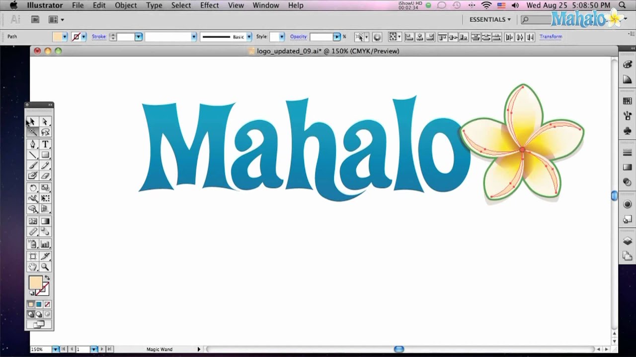 how to use magic wand tool in illustrator