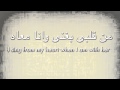 Min Alby Baghani - Mohamed Hamaki Lyrics & Translation - من قلبى بغنى