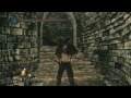 Dark Souls 2: Crown of the Old Iron King FINAL (Sir Alonne)