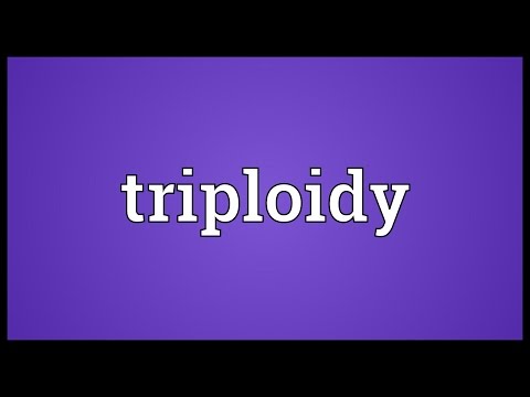 Header of triploidy