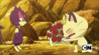 Meowth and Oshawott ask Purrloin out