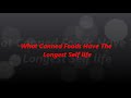 canned food