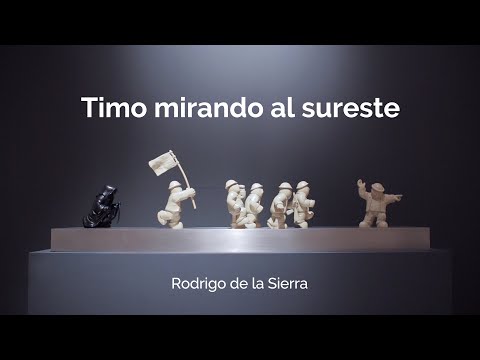 Video Rodrigo de la Sierra- Timo mirando al sureste | LHCM