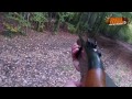 chasse