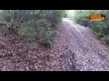 chasse