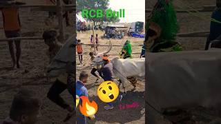 Rcb Hori