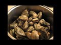 How to Cook Steamed Clams by pizzatherapy.com