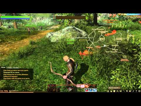 Black desert как сделать чтобы не лагал Black desert как сделать чтобы не лагал