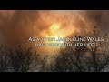 When The Crow Sings