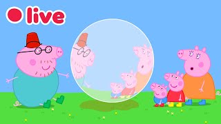 Peppa Pig En Vivo Episodios Completos Caricaturas Para Niños Peppa Pig Español Latino