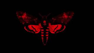 Xcho I Can Fly