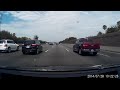 Bird flying at 60 mph on the freeway in front of my car
