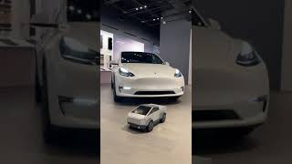Kid Cybertruck Meets Model 3