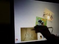 johnny lee's wii white board