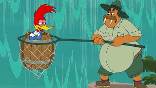 Woody Quiere Bajar Por La Casada El Pájaro Loco Dibujos Animados En Español