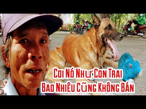 Nhặt chú chó bị bỏ rơi về nuôi và cái kết bất ngờ cho chú Bảo Vệ