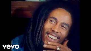 The Amplified Project, Bob Marley, Skip Marley - One Love