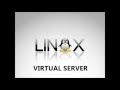 Latest Linux Virtual Servers Promo from LVPSHosting.com