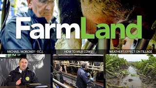FarmLand 2020年2月27日