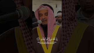 Best Of Mishary Rashid Alafasy